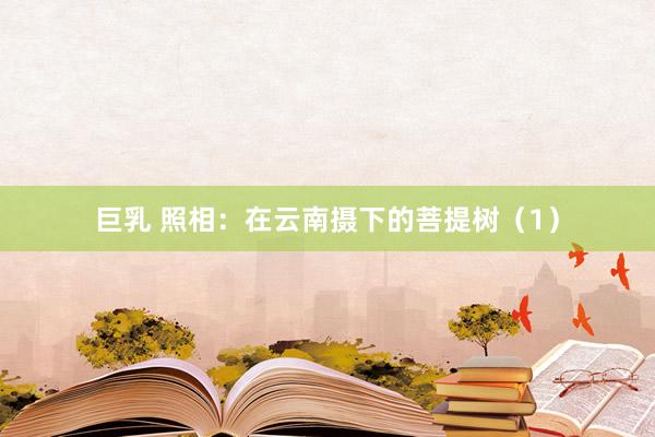 巨乳 照相：在云南摄下的菩提树（1）