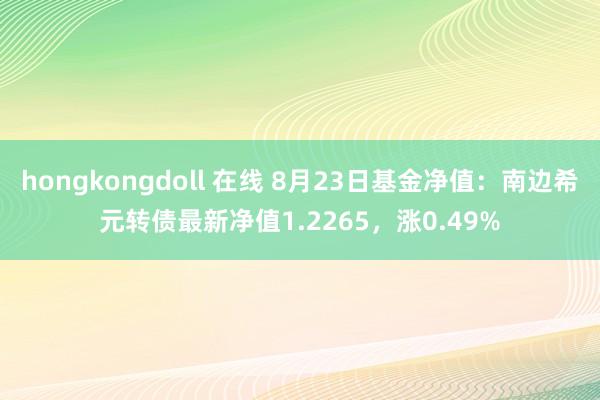 hongkongdoll 在线 8月23日基金净值：南边希元转债最新净值1.2265，涨0.49%