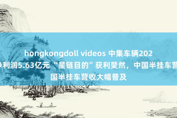 hongkongdoll videos 中集车辆2024年上半年净利润5.63亿元 “星链目的”获利斐然，中国半挂车营收大幅普及