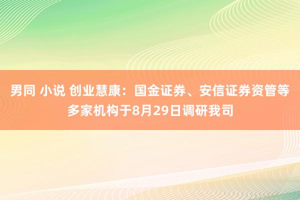 男同 小说 创业慧康：国金证券、安信证券资管等多家机构于8月29日调研我司