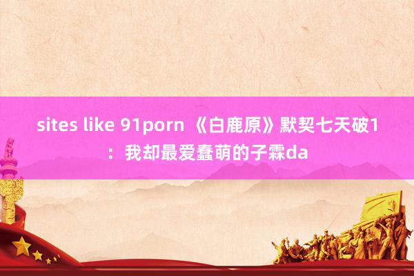 sites like 91porn 《白鹿原》默契七天破1：我却最爱蠢萌的子霖da