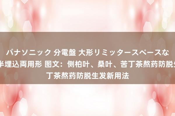 パナソニック 分電盤 大形リミッタースペースなし 露出・半埋込両用形 图文：侧柏叶、桑叶、苦丁茶熬药防脱生发新用法